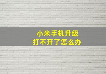 小米手机升级打不开了怎么办