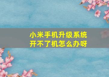 小米手机升级系统开不了机怎么办呀