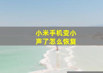 小米手机变小声了怎么恢复