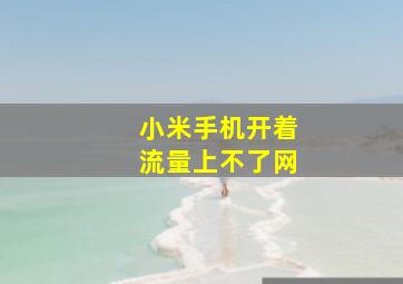 小米手机开着流量上不了网