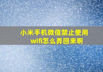 小米手机微信禁止使用wifi怎么弄回来啊