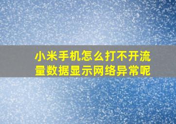 小米手机怎么打不开流量数据显示网络异常呢