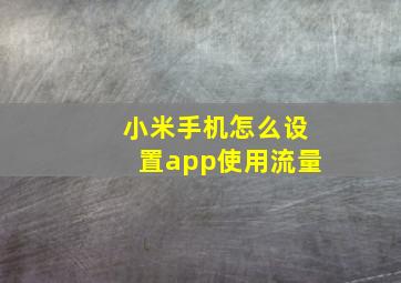 小米手机怎么设置app使用流量