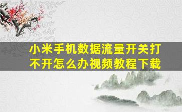 小米手机数据流量开关打不开怎么办视频教程下载