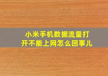 小米手机数据流量打开不能上网怎么回事儿