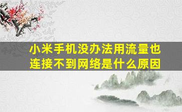 小米手机没办法用流量也连接不到网络是什么原因