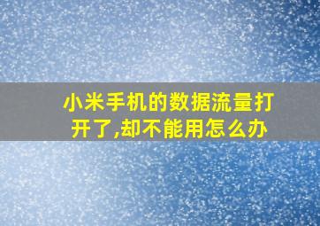 小米手机的数据流量打开了,却不能用怎么办