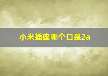 小米插座哪个口是2a