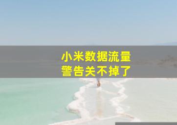 小米数据流量警告关不掉了