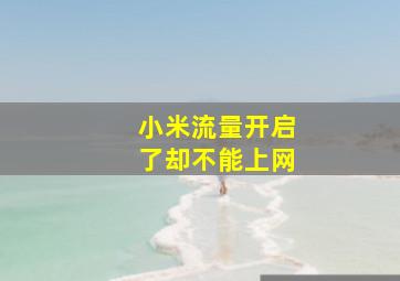 小米流量开启了却不能上网