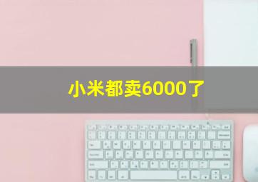 小米都卖6000了