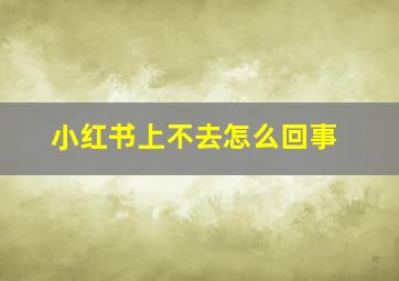 小红书上不去怎么回事