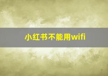 小红书不能用wifi