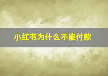 小红书为什么不能付款