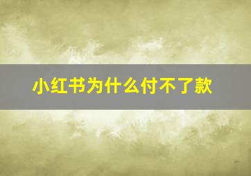 小红书为什么付不了款