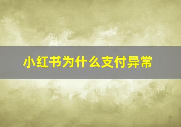 小红书为什么支付异常