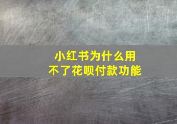 小红书为什么用不了花呗付款功能