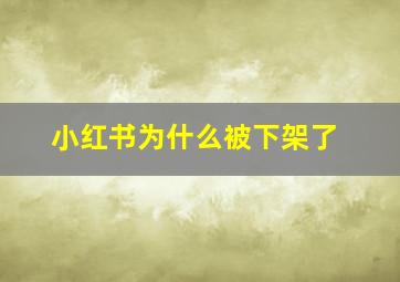 小红书为什么被下架了