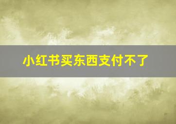 小红书买东西支付不了