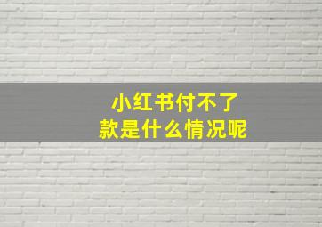 小红书付不了款是什么情况呢