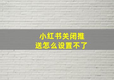 小红书关闭推送怎么设置不了