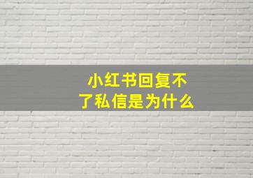 小红书回复不了私信是为什么