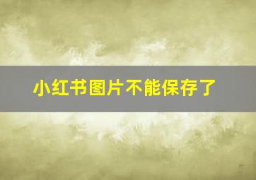 小红书图片不能保存了