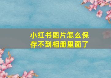 小红书图片怎么保存不到相册里面了