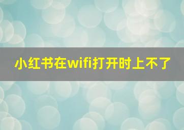 小红书在wifi打开时上不了