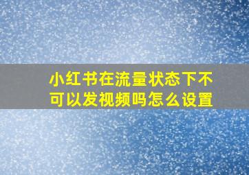 小红书在流量状态下不可以发视频吗怎么设置