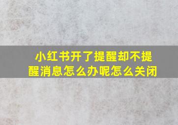 小红书开了提醒却不提醒消息怎么办呢怎么关闭