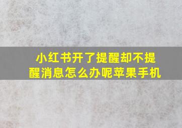 小红书开了提醒却不提醒消息怎么办呢苹果手机