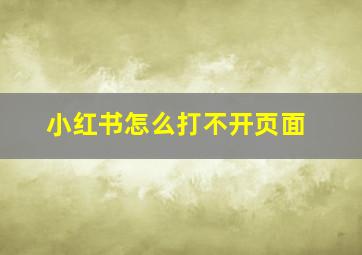 小红书怎么打不开页面