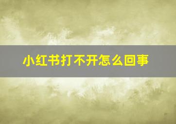 小红书打不开怎么回事