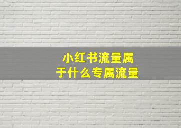 小红书流量属于什么专属流量