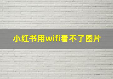 小红书用wifi看不了图片