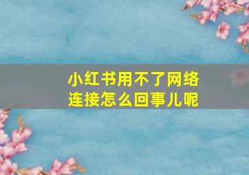 小红书用不了网络连接怎么回事儿呢