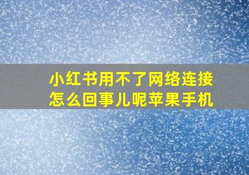 小红书用不了网络连接怎么回事儿呢苹果手机