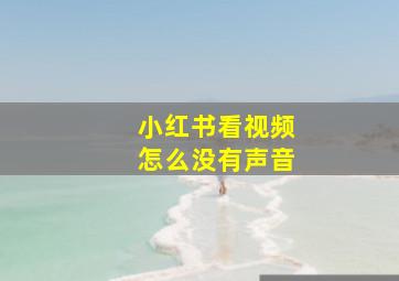 小红书看视频怎么没有声音