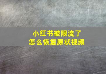 小红书被限流了怎么恢复原状视频