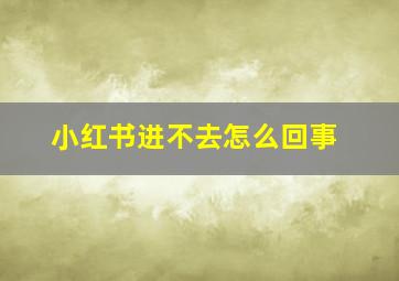 小红书进不去怎么回事