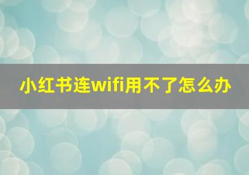 小红书连wifi用不了怎么办