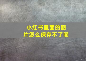 小红书里面的图片怎么保存不了呢