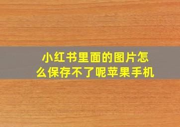 小红书里面的图片怎么保存不了呢苹果手机