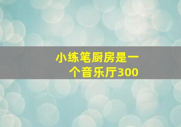 小练笔厨房是一个音乐厅300