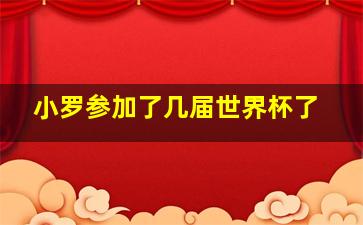 小罗参加了几届世界杯了