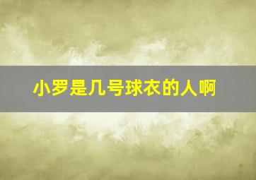 小罗是几号球衣的人啊