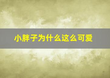 小胖子为什么这么可爱