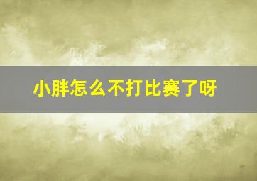 小胖怎么不打比赛了呀