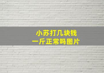 小苏打几块钱一斤正常吗图片